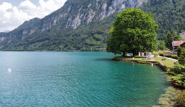Gemütliche Komplett Ausgestattete Ferienwohnung 5 Km von Interlaken
