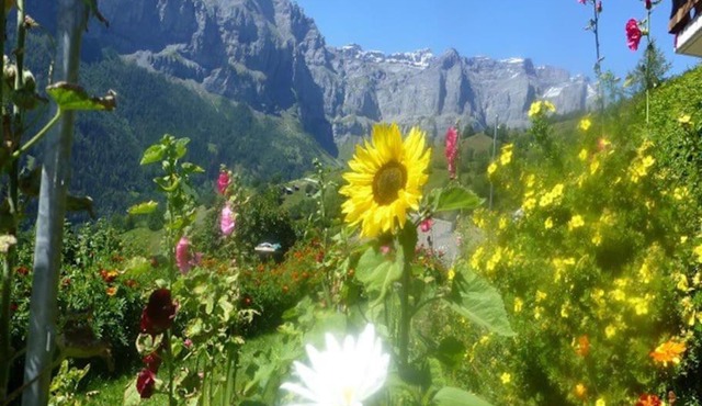 Gemütliche sonnige Wohnung Bergpanoramasicht