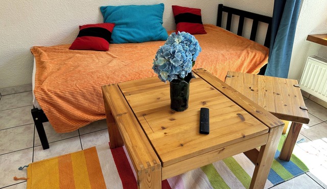 Gemütliche Wohnung im Stadtzentrum