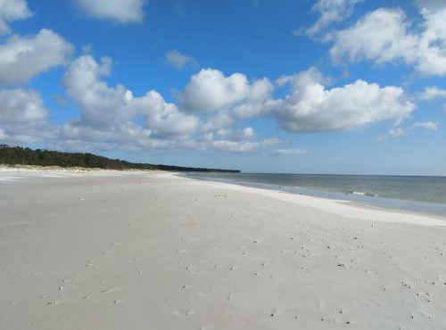 Gemütliche Wohnung in Strandnähe