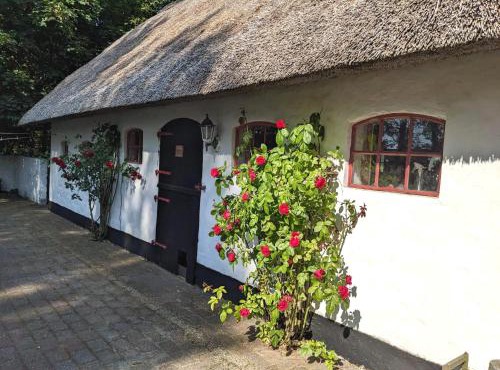 Gemütliches Reetdachhaus mit Kaminofen