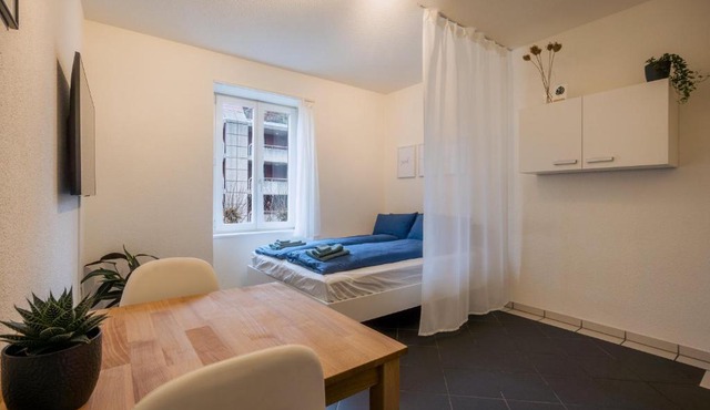 Gemütliches Studio im Stadtzentrum