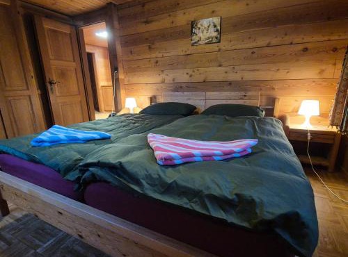 Gemütliches Walliser Chalet Nahe Aletschgebiet