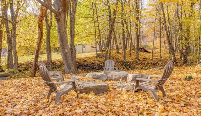 GEM: Cozy for Fall Family Cottage nr Restaurants and Bars