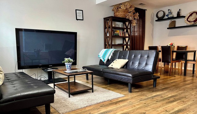 Gem in Heart of Chicago: Parking & Huge Back Yard