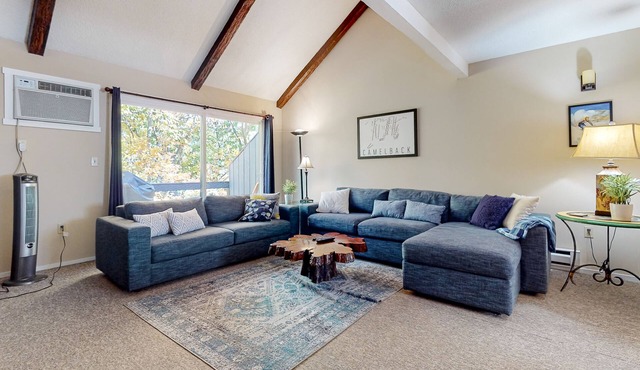 Gem with pool, hot tub, sauna, & private deck with grill - dog-friendly