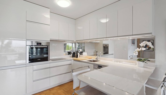 Geneva apartment located near the UN and 10 minutes walk from the airport.