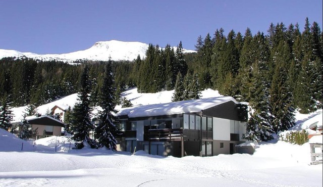 Gentiana (162 Li) Studio