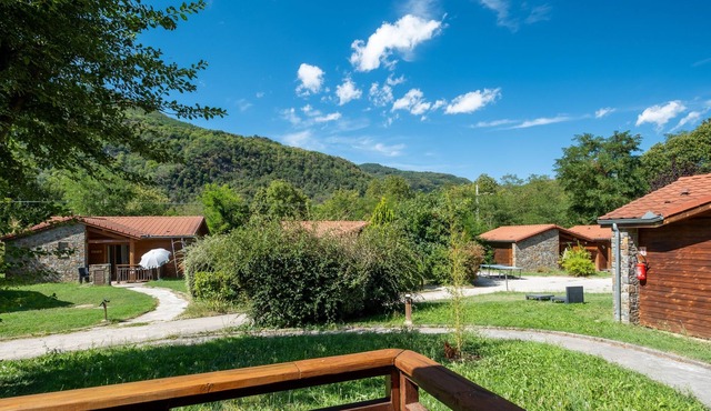 Gentiane Bleue 11 - Chalet vue montagne T3