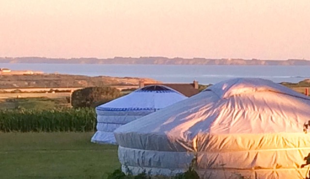 Genuine Mongolian yurts