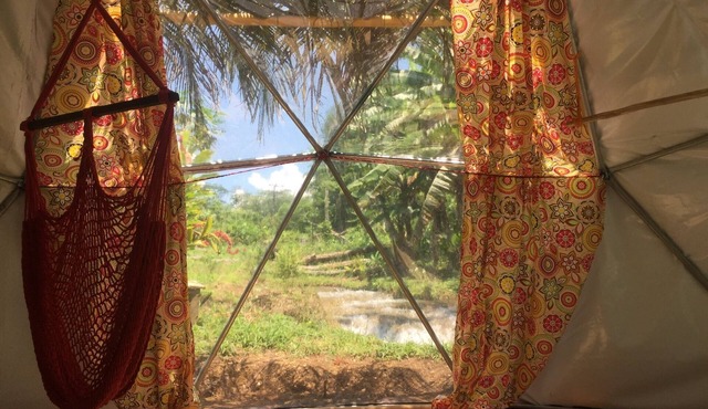 Geodesic Domes In The Jungle