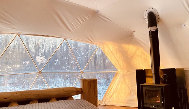 Geodome Nestled in a Carolinian Forest