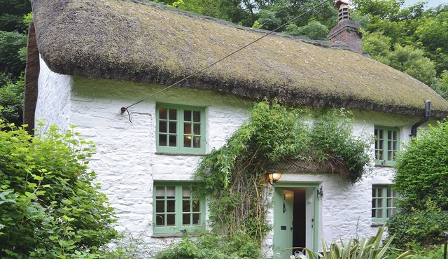 George's Cottage - HSSS