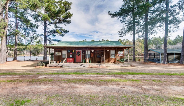 Georgia Lakefront Cabin w/Fire Pit + Grills!