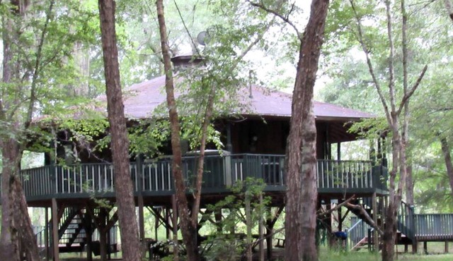Georgia's Family-Friendly Octagon Cabin Getaway in Claxton