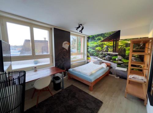 Gery's Camp in Lucerne