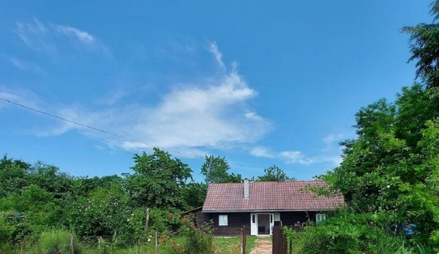 Get away from stress and enjoy peace in a wooden house surrounded by nature.