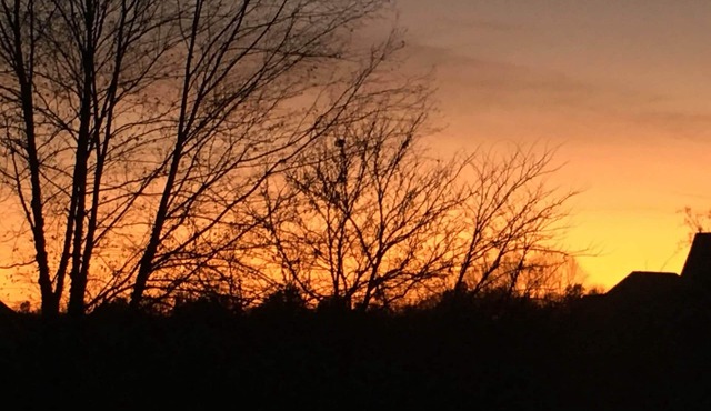 GET AWAY FROM IT ALL - Cottage 28 Taylorsville Lake