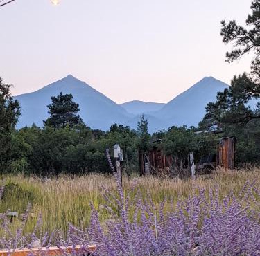 Get Away From it All at Whiskey Rapids ✷ Dog Friendly!