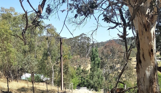 "Get away from the world for a while"