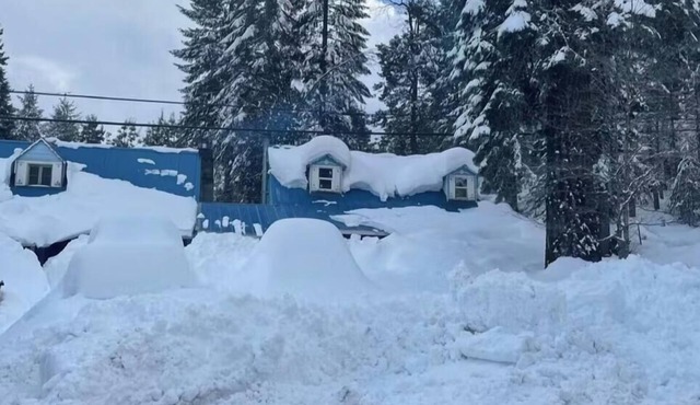 Get away from city life, stay at The Historic Gold Cup Lodge in Strawberry Vally