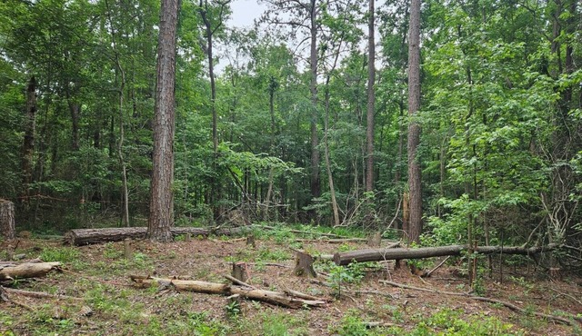 Get Away in a private full 1acre lot in the Columbia County city of Appling.
