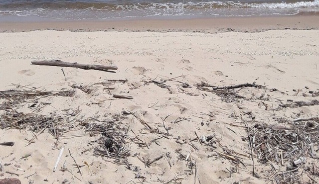 Get Away On The Bay!