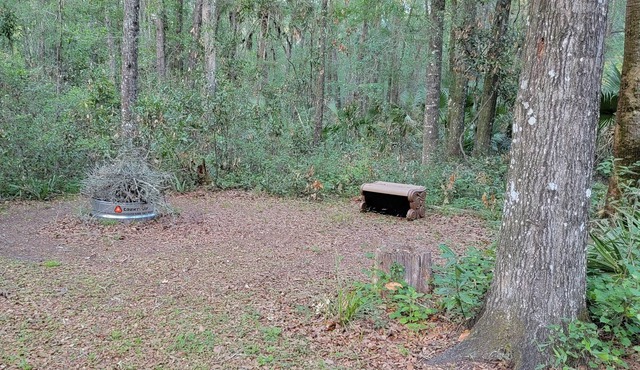 Get away to a nice primitive campsite 1 mile from the swaunnee river.