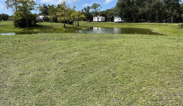 Get away to the Country on a lake enjoying the wild life and horses.