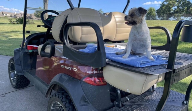 Get Busy Livin! Grand Lake Waterfront