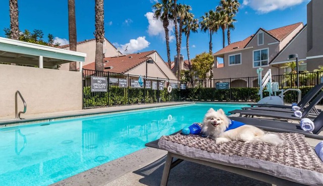 Get Ready for the Perfect Vacation Escape! THREE 2BR Suite w/ Full Kitchen, Pool
