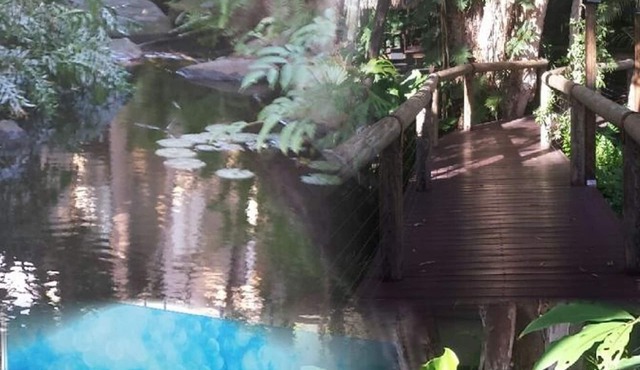 ! Get Ready - Get Set - To - Relax @ 104 Ramada Resort - Free Wi-Fi !