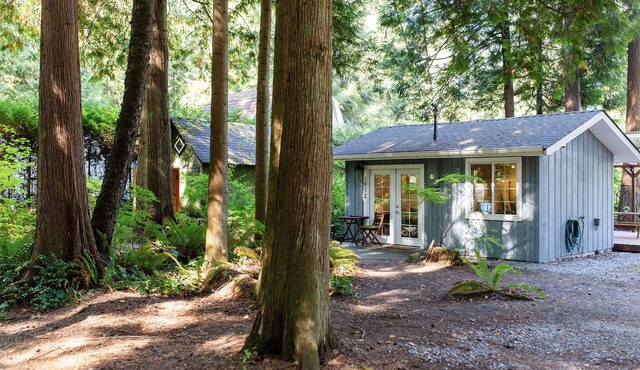 Getaway Cabin in the Woods with Large Outdoor Deck