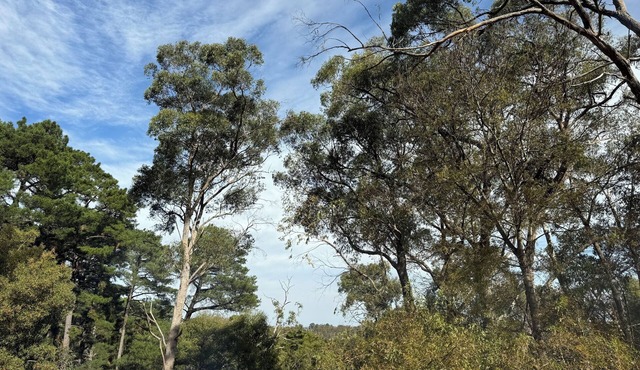 Getaway in the Adelaide Hills