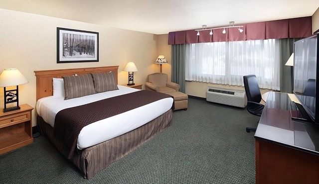 Getaway Weekend Trip! Pet-friendly, Indoor Pool, Quick Drive to Conrad Mansion!