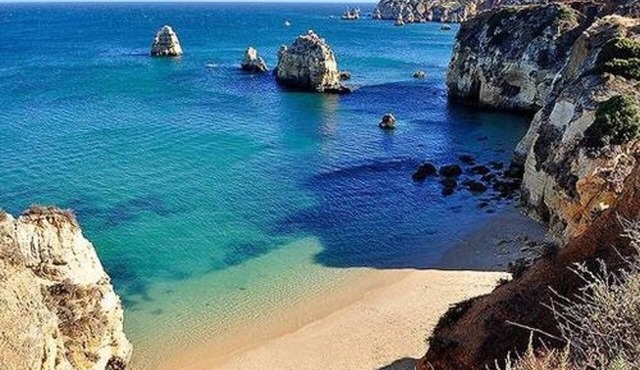 🌞Getaways To Wine Country For big Family/Group🌞