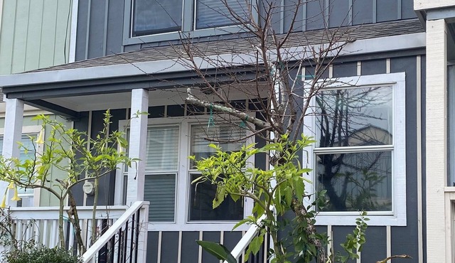 Geyserville Getaway Retreat 30 day minimum