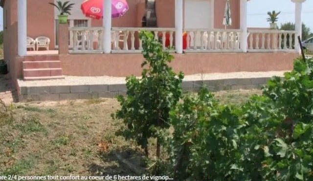 Gite 2 in the heart of 6 hectares of vineyard - Saint-Laurent-de-la-Salanque