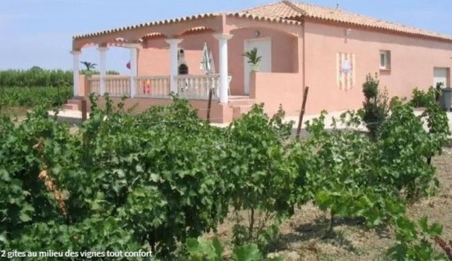 Gite 3 in the heart of 6 acres of vineyard - Saint-Laurent-de-la-Salanque