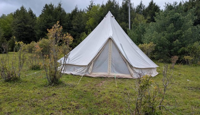 Giant Bell Tent on Working Ranch