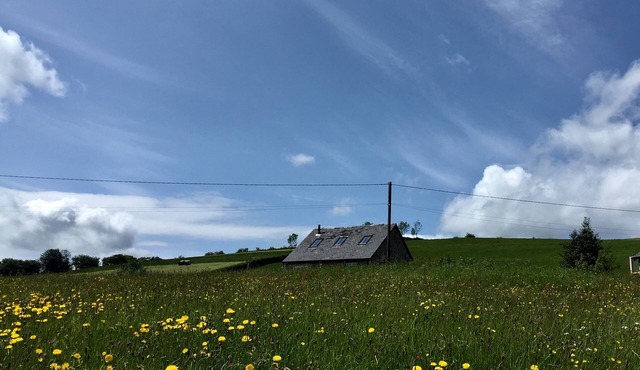 Gig house converted to a one bedroom cottage