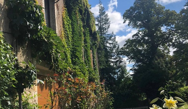 Gigantesque Moulin à Louer