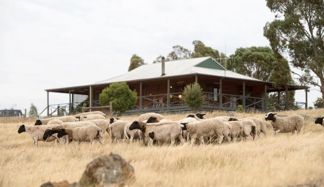 Gilgraves Vineyard Farmstay