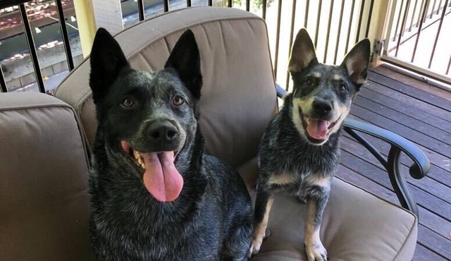 Gingerbread Cottage - Quiet Getaway