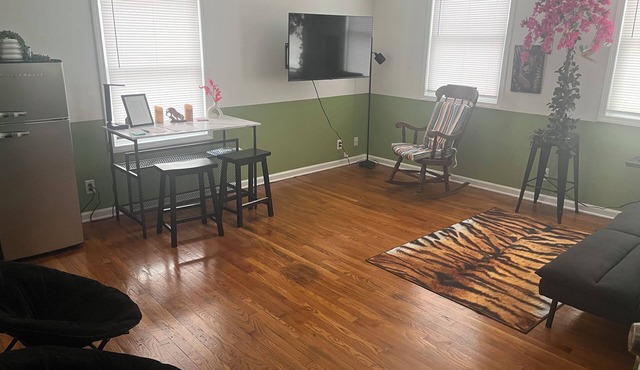 Gingers Tigers Eye The Cozy 1-bedroom apartment in Port Huron