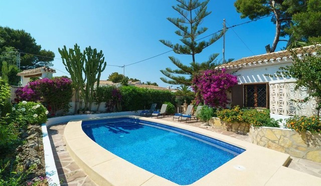 Ginjoler - Javea, Costa Blanca