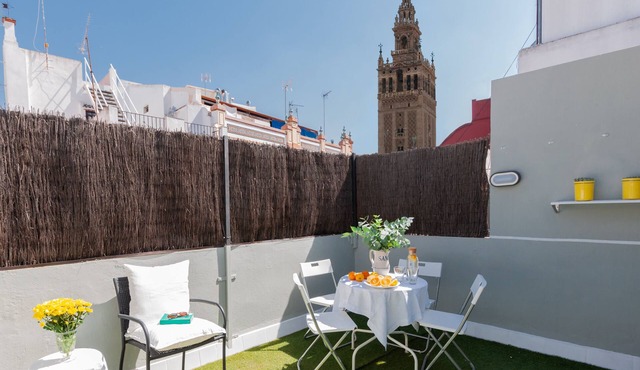 GIRALDA HOUSE (Prime location, private terrace with views to the Giralda, WIFI)