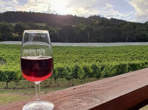 Gisborne Peak Winery Short Term Stays
