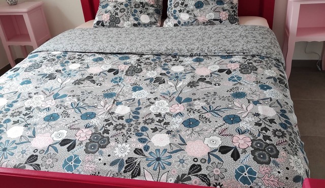 Gîte Le COUDOU Saint-Didier-sur Chalaronne (01) in the countryside