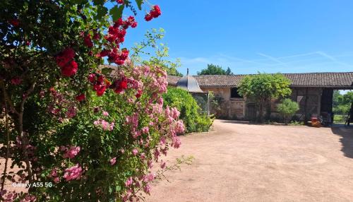 Gite à la ferme du grand coland